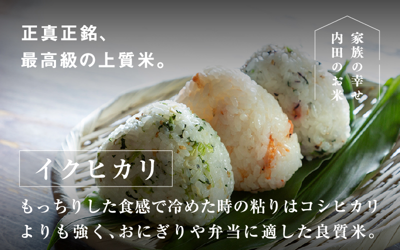 【令和7年産 新米！】 福井県産 内農米 イクヒカリ 5kg 内農米 イクヒカリ 5kg