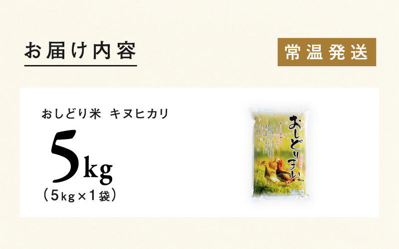 【令和7年産】福井県産 おしどり米 キヌヒカリ 5kg