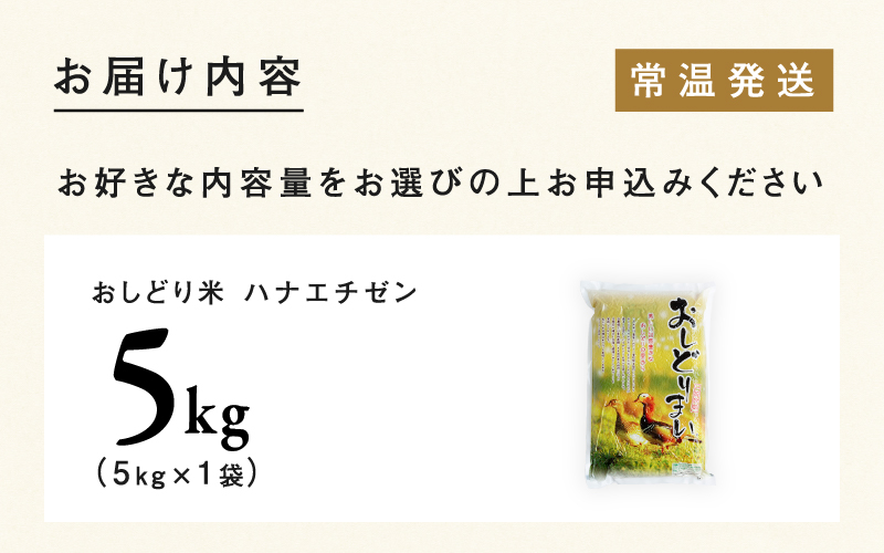 【令和7年産】福井県産 おしどり米 ハナエチゼン 5kg おしどり米 ハナエチゼン 5kg