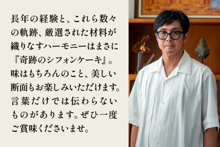 プレーンシフォンケーキ１０個セット