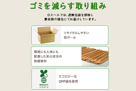 多数のメディアで紹介されました！【訳あり】旬のもったいないお野菜詰め合わせセット　Mサイズ Mサイズ