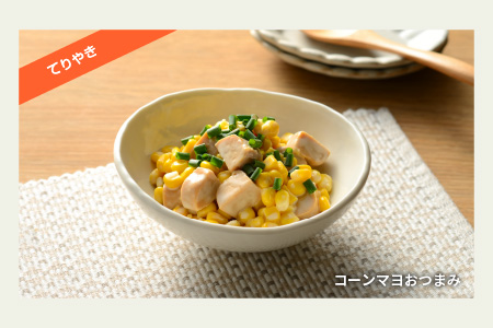 SOY PROTEIN＋ ソイプロテインプラス バータイプ 16個 / てりやき てりやき 16個（60g × 16個）