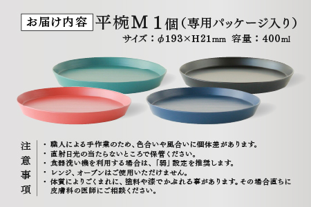 【RIN&CO.】越前硬漆 平皿M / 刷毛目技法 軽く丈夫な漆塗りの器＜越前漆器＞ノースグリーン（Ｎ-02） ノースグリーン（Ｎ-02）