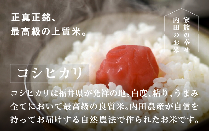 【令和7年産 新米！】【3ヶ月連続お届け】令和7年産 内農米コシヒカリ定期便 5kg × 3回 計15kg 【定期便】内農米コシヒカリ5kg × 3回