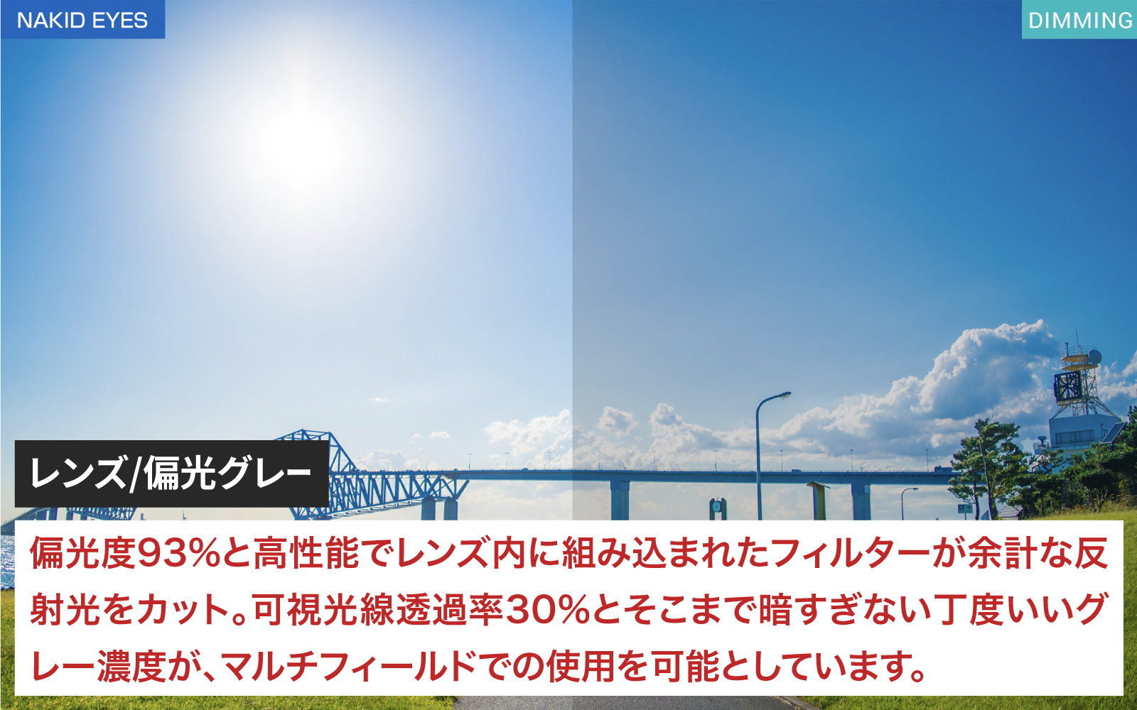 鼻パッドのないサングラス「エアフライ」 AF-302 WP （偏光レンズ装着版）AF-302 C-32WP エメラルドグリーン エメラルドグリーン