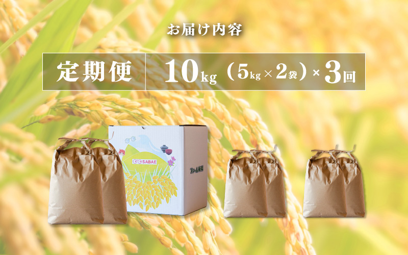 ＜2025年11月以降 順次発送予定＞令和7年産　コシヒカリ　定期便（3ヶ月連続お届け）計30kg（(5kg × 2袋) × 3回） 定期便（3ヶ月連続お届け）計30kg（(5kg × 2袋) × 3回）