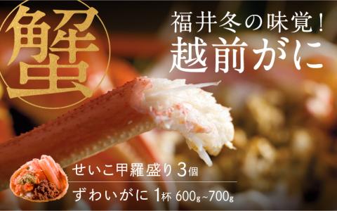 【特別価格期間延長！】【産地直送】福井冬の味覚！越前がに（ずわいがに600～700g 1杯） ＆ せいこ甲羅盛り3個 越前がに（ずわいがに600～700g 1杯） ＆ せいこ甲羅盛り3個