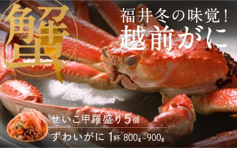 【特別価格期間延長！】【産地直送】福井冬の味覚！越前がに（ずわいがに800～900g 1杯） ＆ せいこ甲羅盛り5個 越前がに（ずわいがに800～900g 1杯） ＆ せいこ甲羅盛り5個