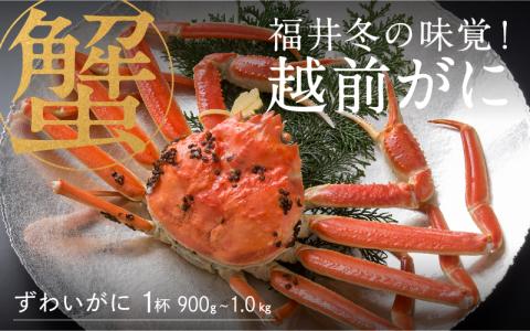 【特別価格期間延長！】【産地直送】福井冬の味覚！越前がに 1杯（900g～1.0kg） 越前がに 1杯（900g～1.0kg）