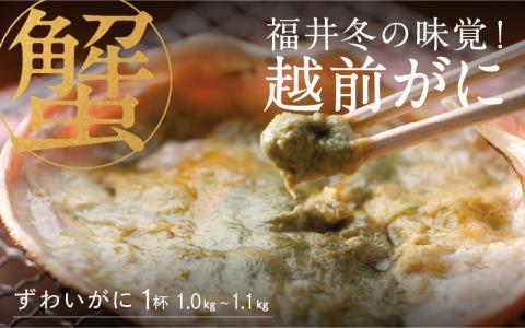 【産地直送】福井冬の味覚！越前がに 1杯 1.0～1.1kg 【2023年度】