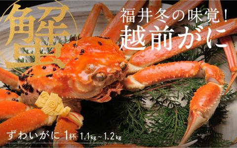 【特別価格期間延長！】【産地直送】福井冬の味覚！越前がに 1杯 (1.1～1.2kg) 越前がに 1杯 (1.1～1.2kg)