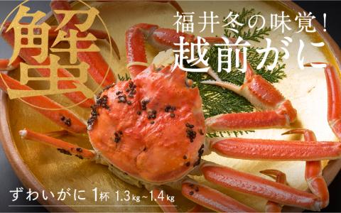 【特別価格期間延長！】【産地直送】福井冬の味覚！越前がに 1杯 (1.3～1.4kg) 越前がに 1杯 (1.3～1.4kg)
