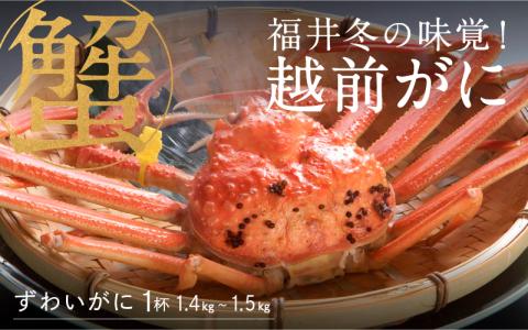 【産地直送】福井冬の味覚！越前がに 1杯 1.4～1.5kg 【2023年度】