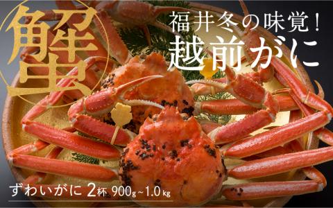 【特別価格期間延長！】【産地直送】福井冬の味覚！越前がに 2杯（900g～1.0kg） 越前がに 2杯（900g～1.0kg）