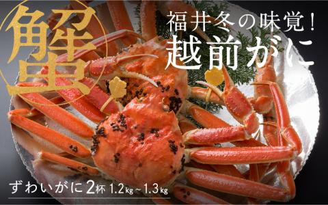 【産地直送】福井冬の味覚！越前がに 2杯（1.2～1.3kg）【2023年度】