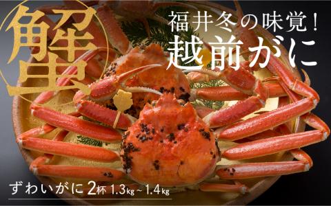 【産地直送】福井冬の味覚！越前がに 2杯（1.3～1.4kg）【2023年度】