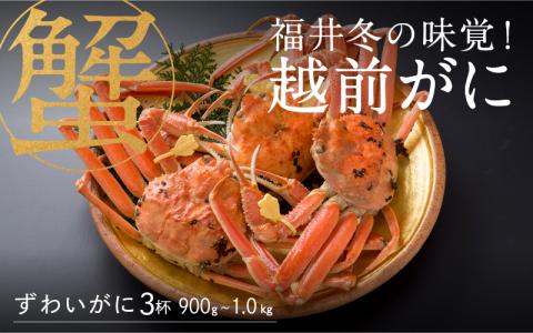 【産地直送】福井冬の味覚！越前がに 3杯（900g～1.0kg）【2023年度】