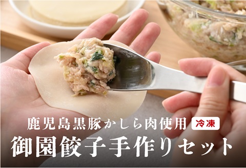 鹿児島県黒豚かしら肉使用 御園餃子 冷凍　手作りセット (餡500g、皮25枚)×2個