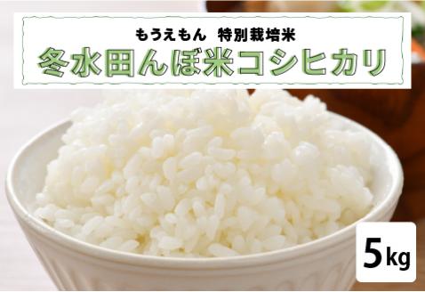 【R6年産】冬水田んぼ米コシヒカリ（5kg × 1袋）真空パック