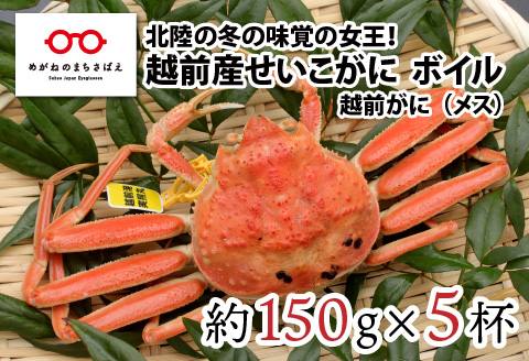 北陸の冬の味覚の王者！越前がに（メス）「せいこがに」150g前後 × 5杯