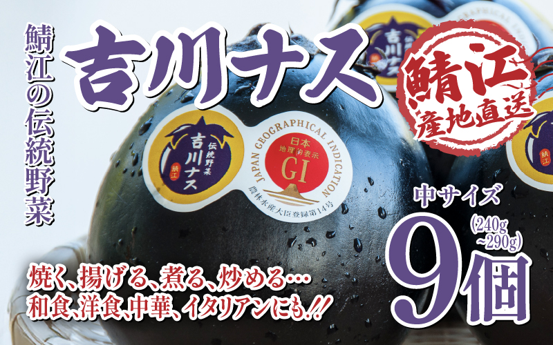 期間限定 吉川ナス 1箱（9個入）