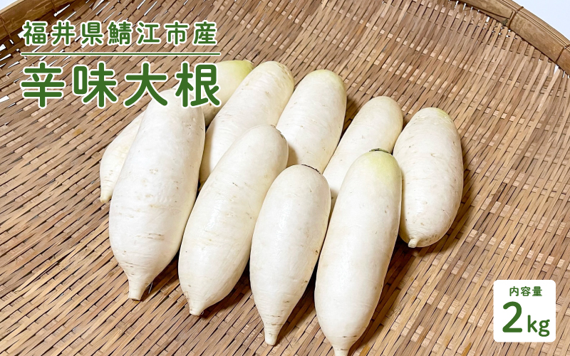 おろしそばに最適! 福井県産 辛味大根 2kg 2kg