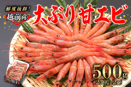 【選べる容量！】【小分け】越前産冷凍甘えび大サイズ 約250g × 2パック 合計約500g 500g（約250g × 2パック）