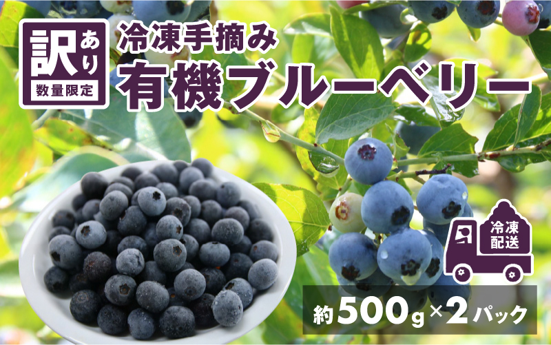 【訳あり】令和7年産〈冷凍〉手摘み有機ブルーベリー1kg（500g × 2パック） 1kg（500g × 2パック）