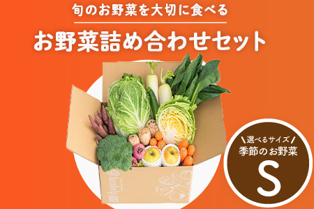 多数のメディアで紹介されました！【訳あり】旬のもったいないお野菜詰め合わせセット　Sサイズ Sサイズ