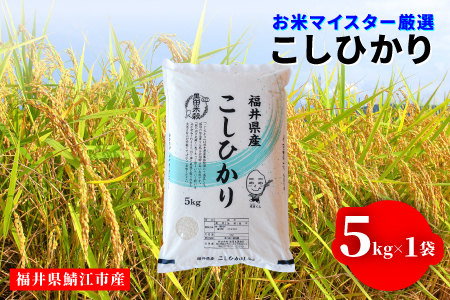 【令和7年産】コシヒカリ5kg（5kg × 1袋） 5kg（5kg × 1袋）