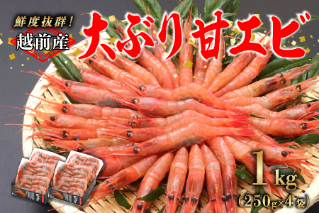 【選べる容量！】【小分け】越前産冷凍甘えび大サイズ約250g × 4パック 合計約1.0kg 1.0kg（約250g × 4パック）