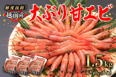 【選べる容量！】【小分け】越前産冷凍甘えび大サイズ 約250g × 6パック 合計約1.5kg  1.5kg（約250g × 6パック）