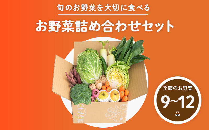 【2025年12月配送】多数のメディアで紹介されました！【訳あり】旬のもったいないお野菜詰め合わせセット