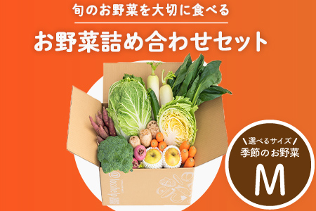 多数のメディアで紹介されました！【訳あり】旬のもったいないお野菜詰め合わせセット　Mサイズ Mサイズ
