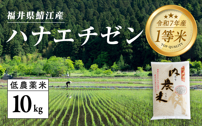 【令和7年産 新米！】福井県産 内農米 ハナエチゼン 10kg 内農米 ハナエチゼン 10kg