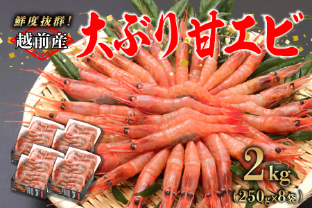 【選べる容量！】【小分け】越前産冷凍甘えび大サイズ 約250g × 8パック 合計約2.0kg 2.0kg（約250g × 8パック）