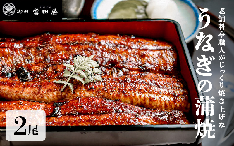 うなぎの蒲焼【特大サイズ２尾】 【特大サイズ2尾】