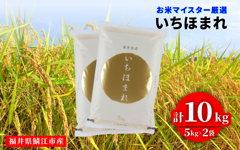 令和7年産 いちほまれ 10kg　（5kg × 2袋）