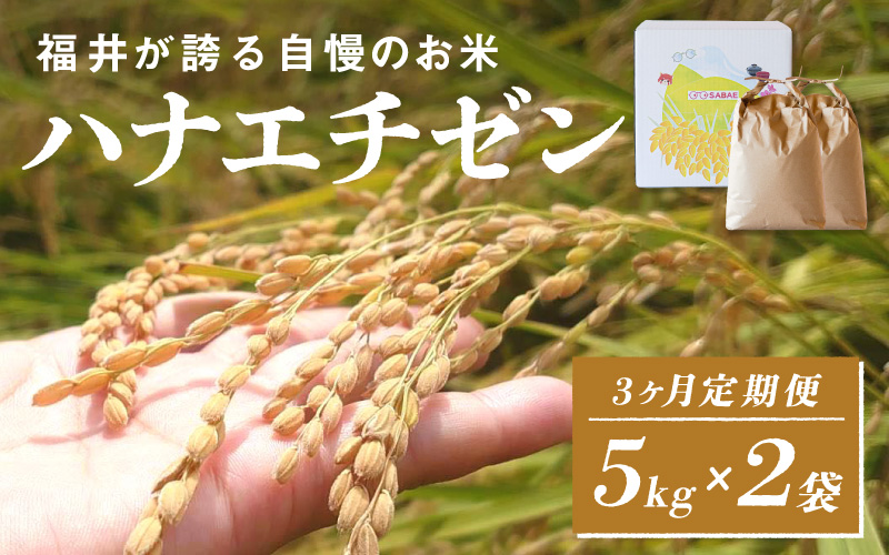＜2025年10月以降 順次発送予定＞令和7年産　ハナエチゼン　定期便（3ヶ月連続お届け）計30kg（(5kg × 2袋) × 3回） 定期便（3ヶ月連続お届け）計30kg（(5kg × 2袋) × 3回）