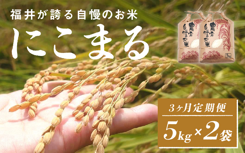 ＜2025年11月以降 順次発送予定＞令和7年産　にこまる　定期便（3ヶ月連続お届け）計30kg（(5kg × 2袋) × 3回） 定期便（3ヶ月連続お届け）計30kg（(5kg × 2袋) × 3回）
