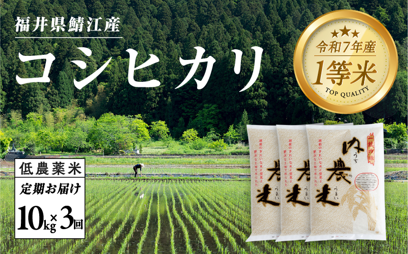 【令和7年産 新米！】【3ヶ月連続お届け】福井県産 内農米コシヒカリ定期便 10kg × 3回 計30kg 【定期便】内農米コシヒカリ10kg × 3回