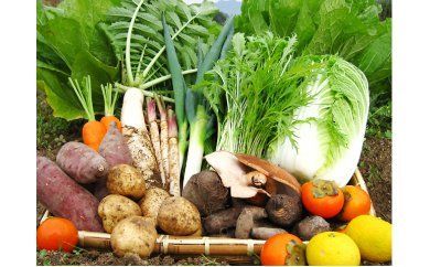 高島さんちの採れたて野菜＆加工品セット