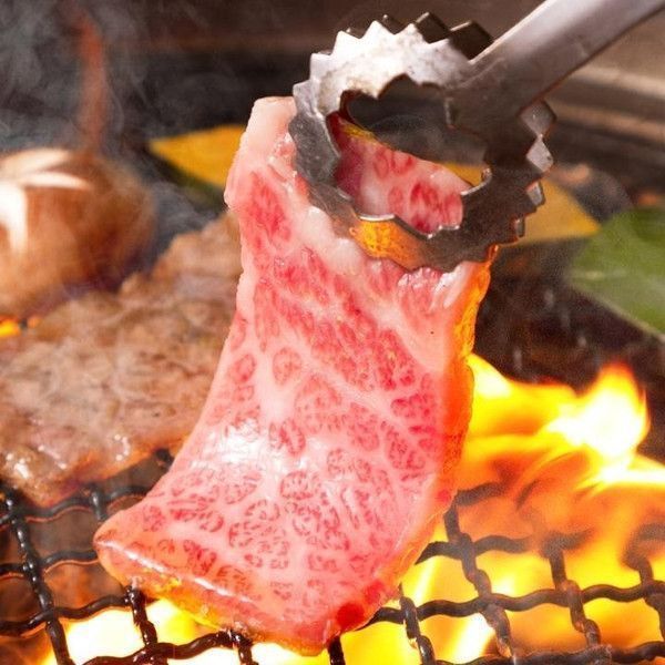 福井県産若狭牛（焼肉用）５００ｇ