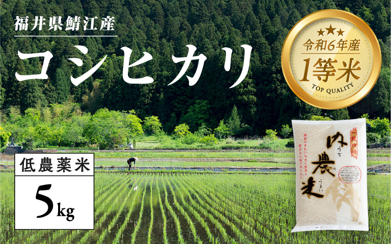 福井県産 内農米 コシヒカリ 5kg 黒米300g