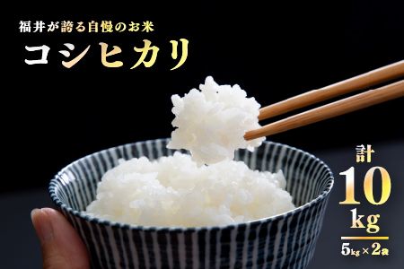 【数量限定！200袋限定販売！！】＜2025年11月以降 順次発送予定＞令和7年産 コシヒカリ 通常便（1回配送）計10kg（5kg×2袋）