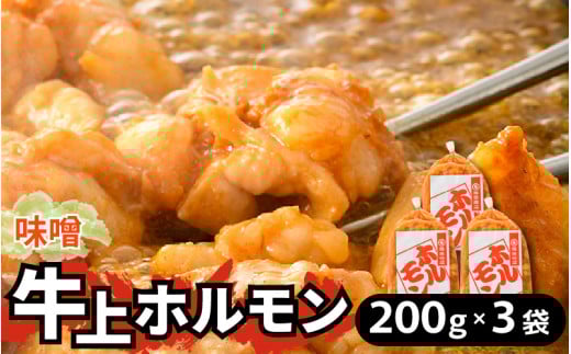 牛味噌 上ホルモン 200g×3袋（1～2人前×3袋） 計600g ＜絶品！炒めるだけ簡単！＞ ／ 味付け 肉 焼肉 BBQ バーベキュー もつ ホルモン 小分け おつまみ 冷凍 アウトドア やみつき 人気 [aw001-a012]