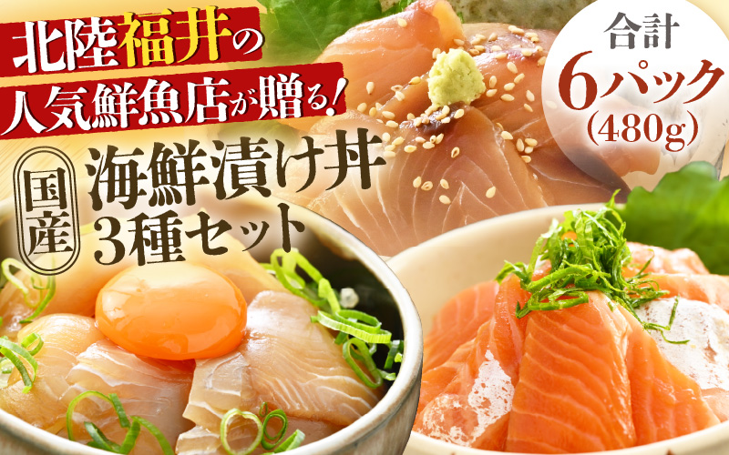 人気鮮魚店が贈る！海鮮漬け丼 3種セット ／ 海鮮丼 鯛 サーモン さわら はまち ぶり あじ 冷凍パック [aw002-a012]