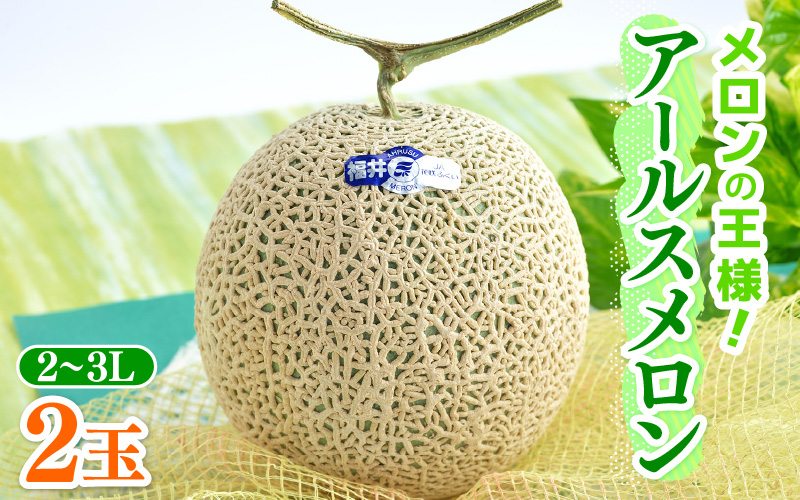 【先行予約】メロンの王様！アールスメロン 2玉入 2～3L 〈贈答用にも最適な最高級メロン〉／ 期間限定 果物 フルーツ 高級メロン マスクメロン 青肉 産地直送 ※2026年7月中旬より順次発送 [aw003-a011]