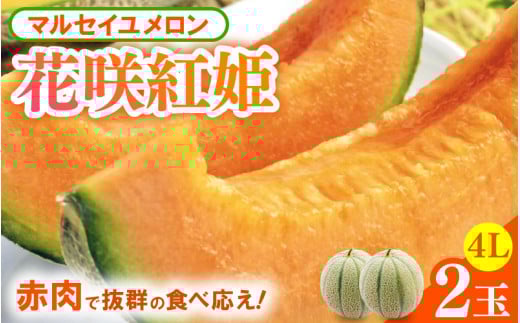 【先行予約】マルセイユメロン 2玉入 4Lサイズ ※2026年6月中旬より順次発送 [aw003-a007]