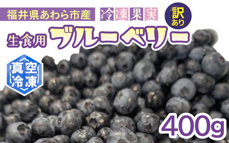 【訳あり】冷凍果実 福井県あわら市産 生食用ブルーベリー 真空冷凍 400g [aw007-a008]